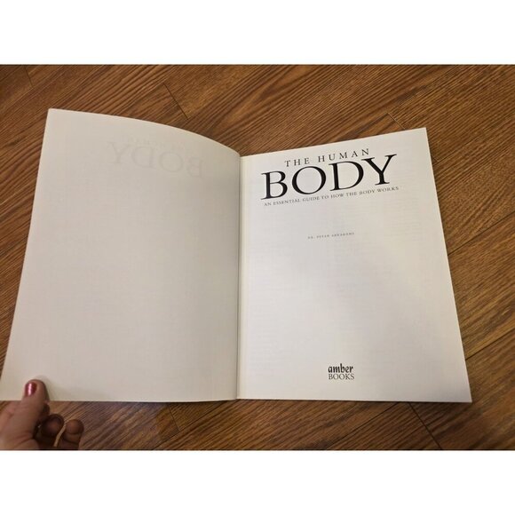 The Human Body An Essential Guide To How The Body Works By Dr.‎ Peter Abrahams - Picture 4 of 9